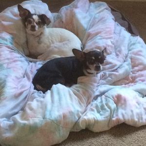 Meet your Posher, Casey